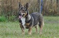 Balder_0075.jpg