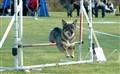 DSC_9942_närbild.jpg