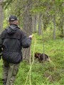 Vilfredspår2013.jpg