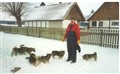 gamla bilder 007.jpg